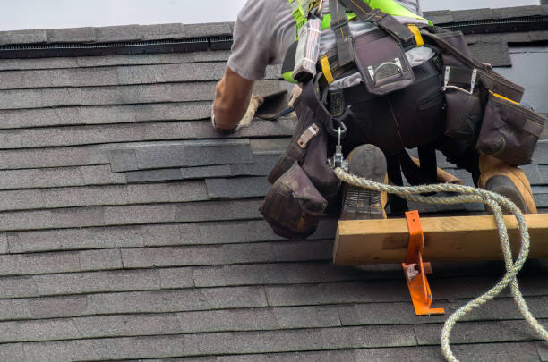 Best Storm Damage Roof Repair  in Hoschton, GA
