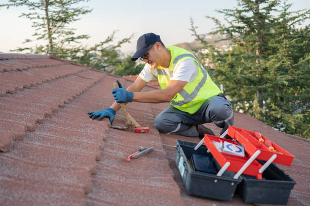 Best Roof Repair Services  in Hoschton, GA