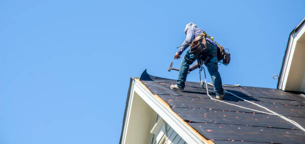 Best Storm Damage Roof Repair  in Hoschton, GA